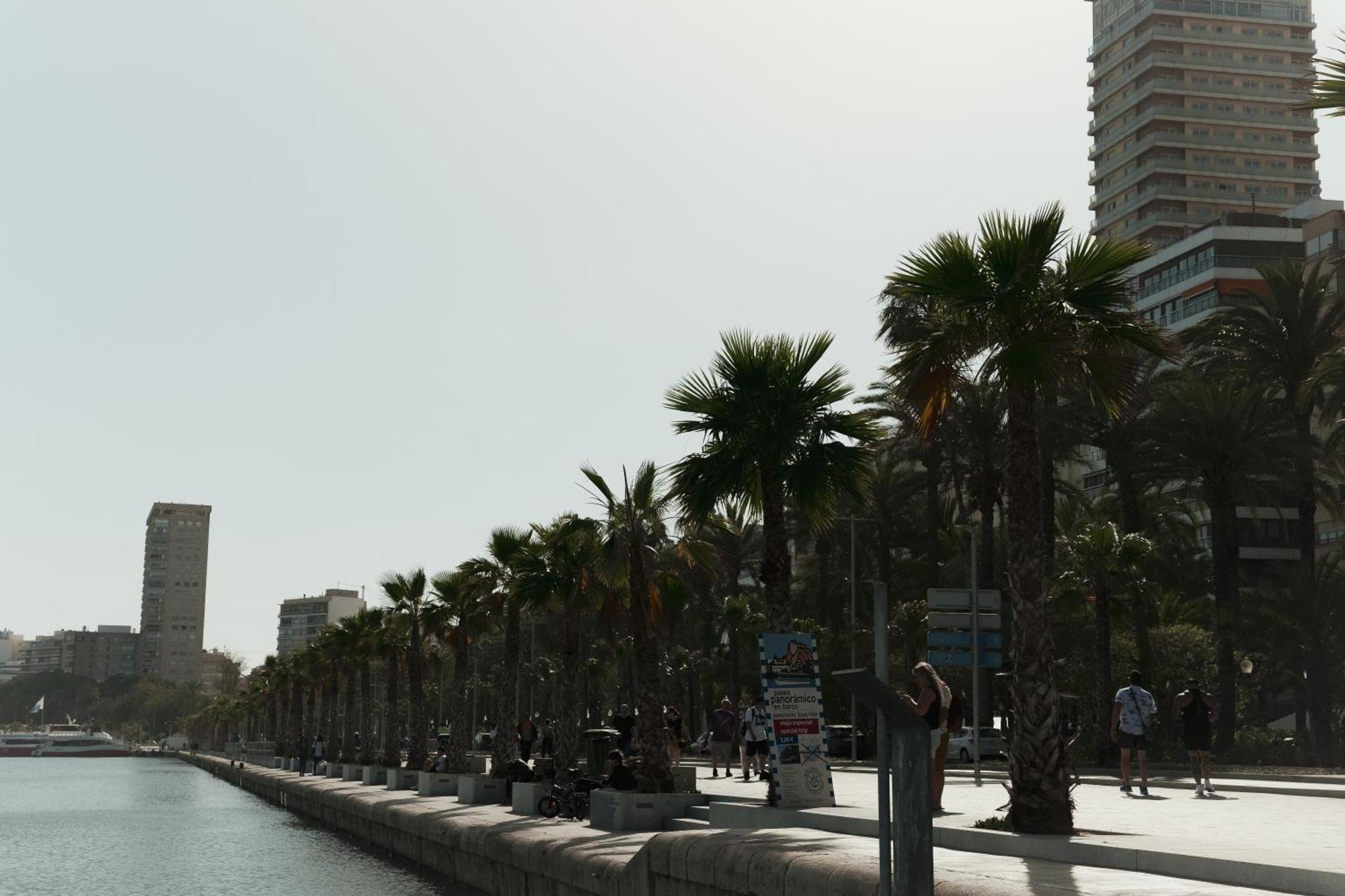 Bs Luxury Estate El Campello Apartment Bagian luar foto